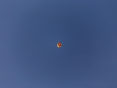 IMG_1879