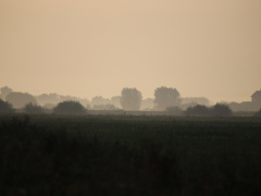IMG_2015
