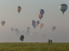 IMG_0886_