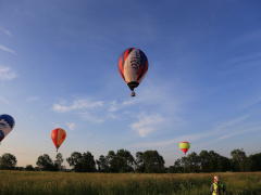 IMG_6995