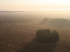 5_IMG_5962