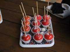 IMG_8541